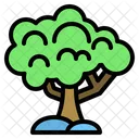 Tree Forest Plant Icon