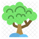 Tree Forest Plant Icon