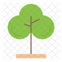 Nature Plant Forest Icon
