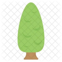 Tree  Icon