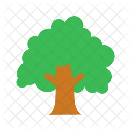 Tree  Icon