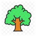 Tree Forest Plant Icon