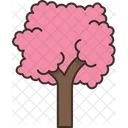 Tree Sakura Cherry Icon