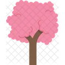 Tree Sakura Cherry Icon