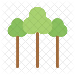 Tree  Icon