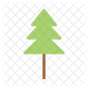Tree Pine Forest Icon