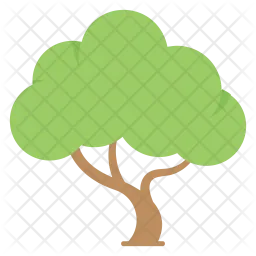 Tree  Icon