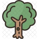 Tree Forest Woods Icon