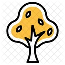 Tree Nature Plant Icon