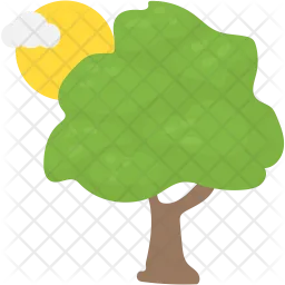 Tree  Icon