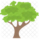 Elm Tree Planting Icon