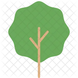 Tree  Icon