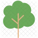 C Tree Nature Icon