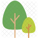 Tree Nature Plant Icon