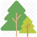 Tree Nature Plant Icon