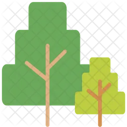 Tree  Icon