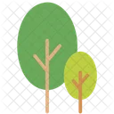 C Tree Nature Icon