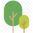 C Tree Nature Icon