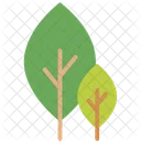 C Tree Nature Icon