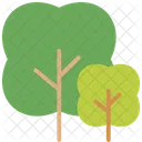 C Tree Nature Icon