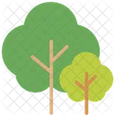 C Tree Nature Icon