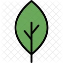 Tree Nature Plant Icon