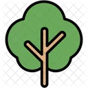 Tree Nature Plant Icon