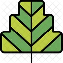 Tree Nature Plant Icon