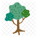 Tree Ecology Plant Icon