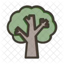 Tree  Icon