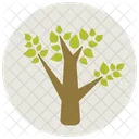 Tree Leaf Plant Icon