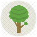 Tree Growth Greenery Icon