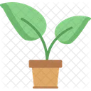 Tree Nature Plant Icon