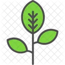 Tree Branch Tree Herb Icon