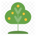 Tree Branch Tree Branch Icon