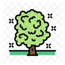 나무 관리  아이콘