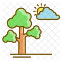 Tree Cloudy Icon