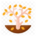 Tree Deciduous  Icon