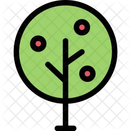 Tree  Icon