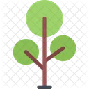 Tree Ecology Nature Icon