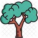 Tree Evergreen  Icon