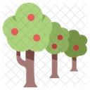 Tree Farm Apple Trees Apple Icon