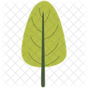 Tree Garden Nature Icon