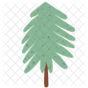 Tree Pine Tree Conifer Tree Icon