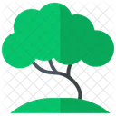 Tree Forest  Icon