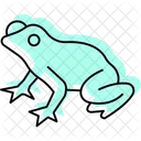 Tree Frog Icon