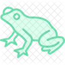 Tree Frog Icon
