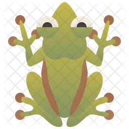 Tree Frog  Icon