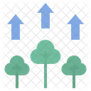 Tree Growth Tree Increase Icon