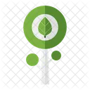 Tree Ecology Environment Icon